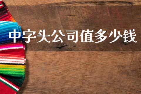 中字头公司值多少钱_https://m.kuaijiepai.net_资产证券化_第1张