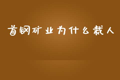 首钢矿业为什么裁人_https://m.kuaijiepai.net_债券投资_第1张