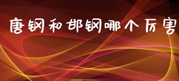 唐钢和邯钢哪个厉害_https://m.kuaijiepai.net_货币基金_第1张
