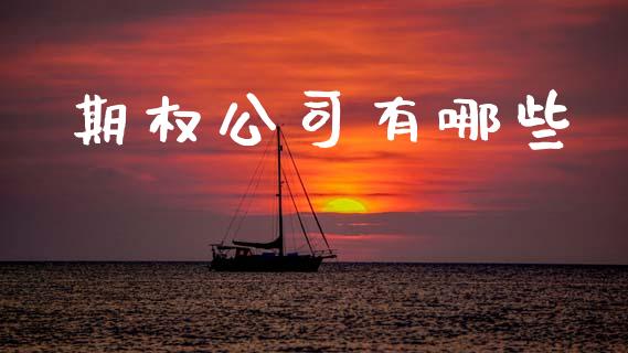 期权公司有哪些_https://m.kuaijiepai.net_股票交易_第1张