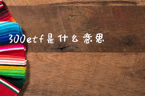 300etf是什么意思_https://m.kuaijiepai.net_货币基金_第1张
