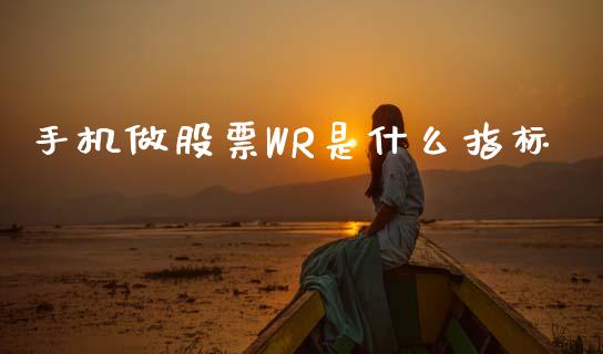 手机做股票WR是什么指标_https://m.kuaijiepai.net_货币基金_第1张