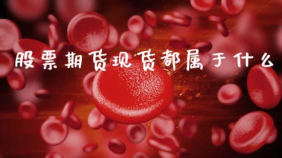 股票期货现货都属于什么_https://m.kuaijiepai.net_债券投资_第1张