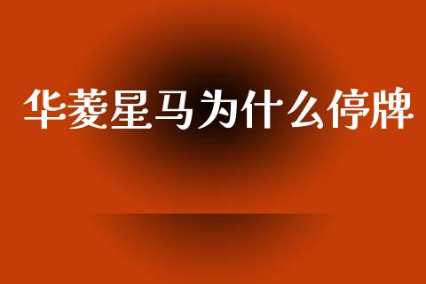 华菱星马为什么停牌_https://m.kuaijiepai.net_股票交易_第1张