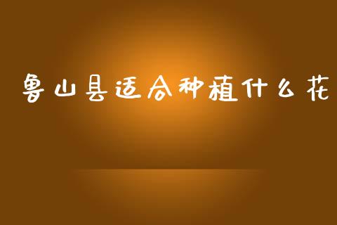 鲁山县适合种植什么花_https://m.kuaijiepai.net_股票交易_第1张
