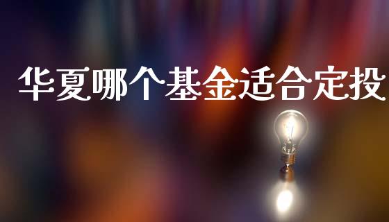华夏哪个基金适合定投_https://m.kuaijiepai.net_资产证券化_第1张
