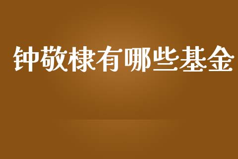 钟敬棣有哪些基金_https://m.kuaijiepai.net_货币基金_第1张