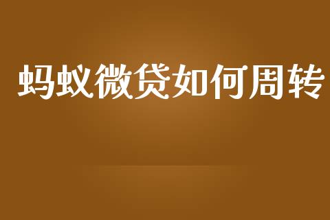 蚂蚁微贷如何周转_https://m.kuaijiepai.net_资产证券化_第1张