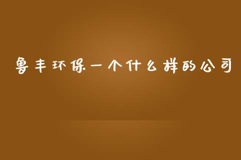 鲁丰环保一个什么样的公司_https://m.kuaijiepai.net_货币基金_第1张