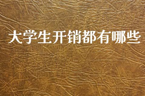大学生开销都有哪些_https://m.kuaijiepai.net_货币基金_第1张