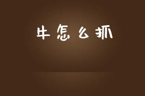牛怎么抓_https://m.kuaijiepai.net_货币基金_第1张