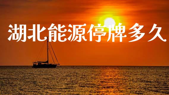 湖北能源停牌多久_https://m.kuaijiepai.net_债券投资_第1张