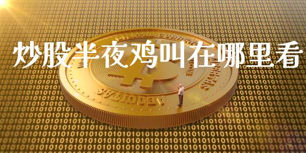 炒股半夜鸡叫在哪里看_https://m.kuaijiepai.net_货币基金_第1张