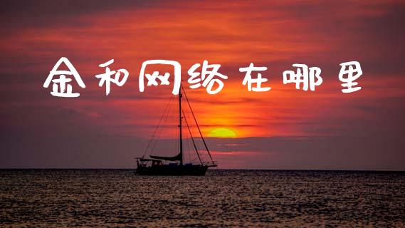 金和网络在哪里_https://m.kuaijiepai.net_债券投资_第1张