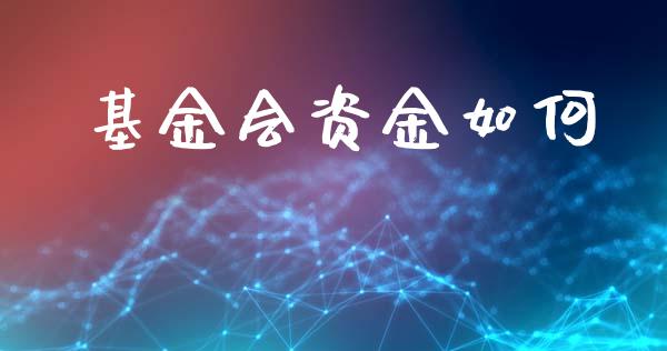 基金会资金如何_https://m.kuaijiepai.net_货币基金_第1张