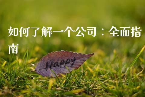 如何了解一个公司：全面指南_https://m.kuaijiepai.net_股票交易_第1张