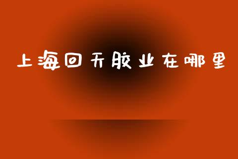 上海回天胶业在哪里_https://m.kuaijiepai.net_货币基金_第1张