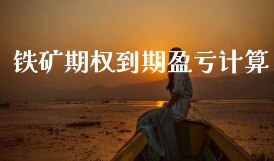 铁矿期权到期盈亏计算_https://m.kuaijiepai.net_股票交易_第1张