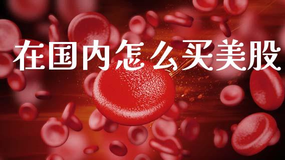 在国内怎么买美股_https://m.kuaijiepai.net_债券投资_第1张