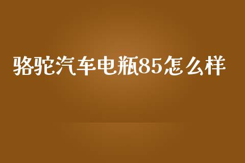 骆驼汽车电瓶85怎么样_https://m.kuaijiepai.net_股票交易_第1张