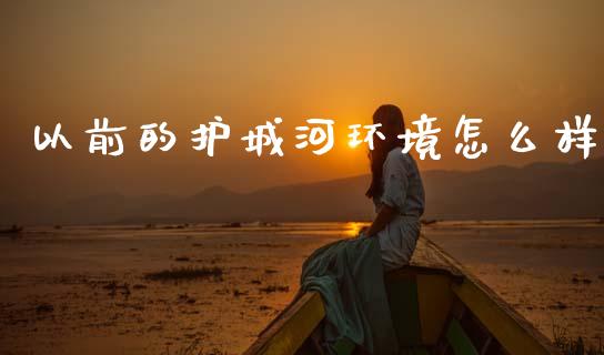 以前的护城河环境怎么样_https://m.kuaijiepai.net_债券投资_第1张
