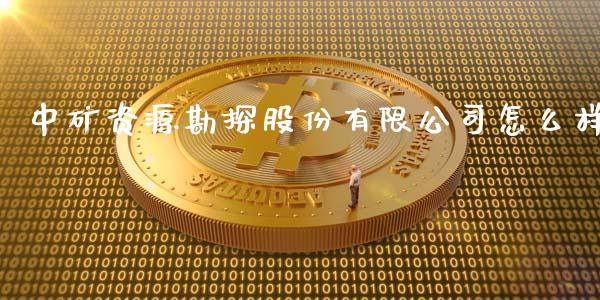 中矿资源勘探股份有限公司怎么样_https://m.kuaijiepai.net_股票交易_第1张
