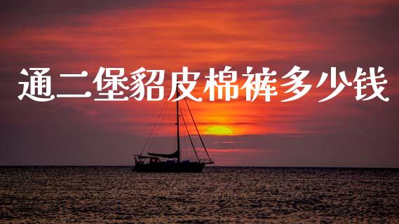 通二堡貂皮棉裤多少钱_https://m.kuaijiepai.net_债券投资_第1张