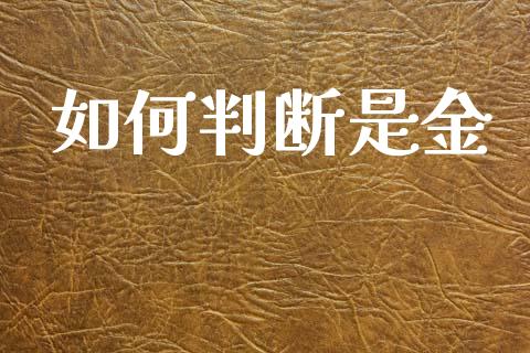 如何判断是金_https://m.kuaijiepai.net_债券投资_第1张