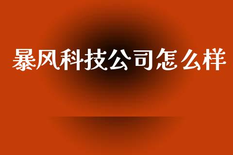 暴风科技公司怎么样_https://m.kuaijiepai.net_资产证券化_第1张