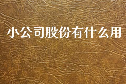 小公司股份有什么用_https://m.kuaijiepai.net_资产证券化_第1张