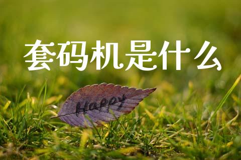 套码机是什么_https://m.kuaijiepai.net_股票交易_第1张