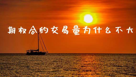 期权合约交易量为什么不大_https://m.kuaijiepai.net_债券投资_第1张