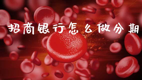 招商银行怎么做分期_https://m.kuaijiepai.net_资产证券化_第1张