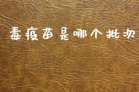毒疫苗是哪个批次_https://m.kuaijiepai.net_股票交易_第1张