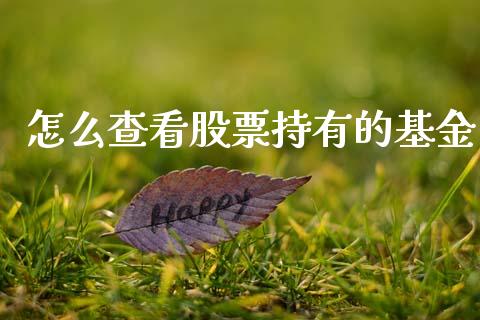 怎么查看股票持有的基金_股票交易_第1张_货币基金_债券投资_股票交易_资产证券化 怎么查看股票持有的基金_https://m.kuaijiepai.net_股票交易_第1张