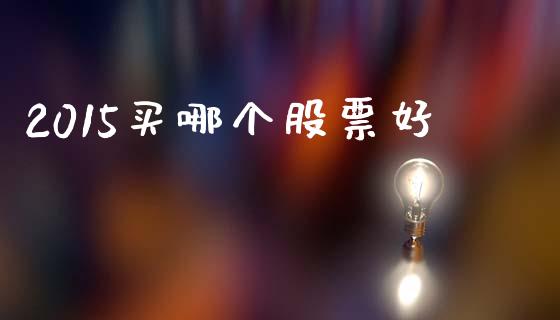 2015买哪个股票好_https://m.kuaijiepai.net_货币基金_第1张