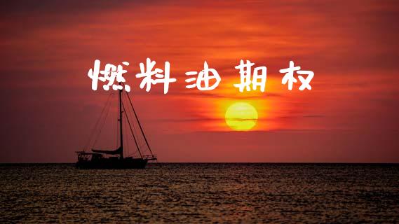 燃料油期权_https://m.kuaijiepai.net_债券投资_第1张