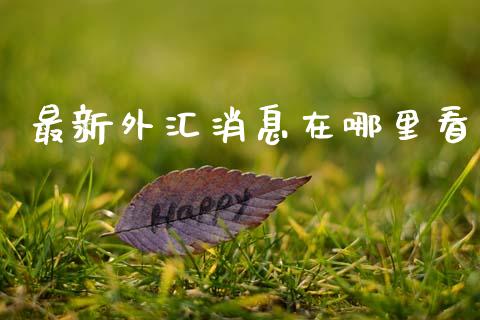 最新外汇消息在哪里看_https://m.kuaijiepai.net_资产证券化_第1张