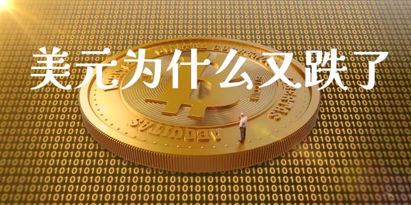 美元为什么又跌了_https://m.kuaijiepai.net_资产证券化_第1张