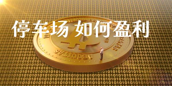 停车场 如何盈利_https://m.kuaijiepai.net_债券投资_第1张