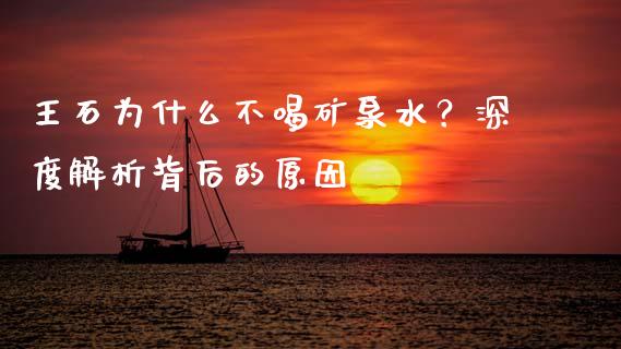 王石为什么不喝矿泉水？深度解析背后的原因_https://m.kuaijiepai.net_债券投资_第1张