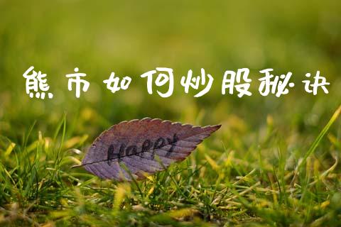 熊市如何炒股秘诀_https://m.kuaijiepai.net_股票交易_第1张