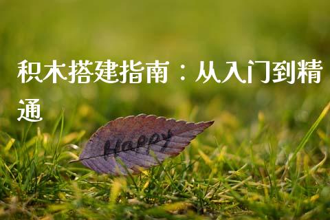 积木搭建指南：从入门到精通_https://m.kuaijiepai.net_货币基金_第1张