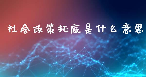 社会政策托底是什么意思_https://m.kuaijiepai.net_资产证券化_第1张