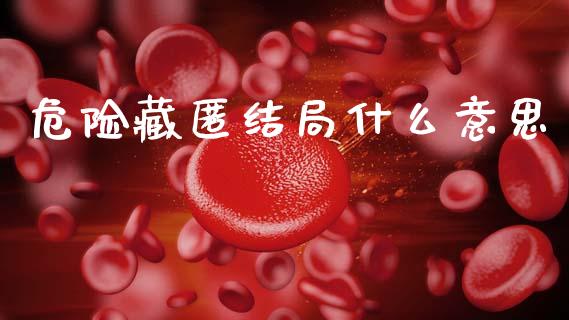 危险藏匿结局什么意思_https://m.kuaijiepai.net_债券投资_第1张
