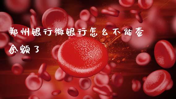 郑州银行微银行怎么不能查余额了_https://m.kuaijiepai.net_股票交易_第1张