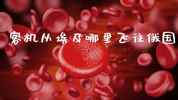 客机从埃及哪里飞往俄国_https://m.kuaijiepai.net_债券投资_第1张