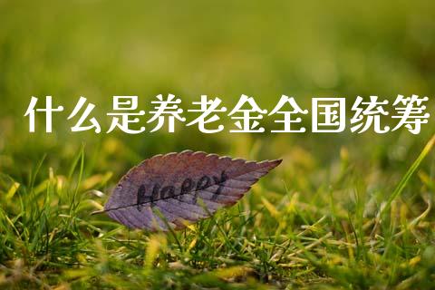 什么是养老金全国统筹_https://m.kuaijiepai.net_资产证券化_第1张