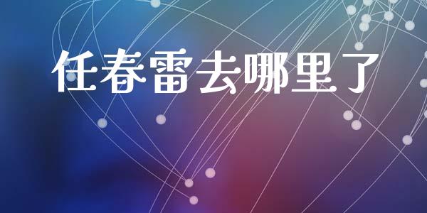 任春雷去哪里了_https://m.kuaijiepai.net_货币基金_第1张
