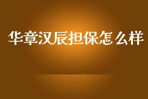华章汉辰担保怎么样_https://m.kuaijiepai.net_股票交易_第1张